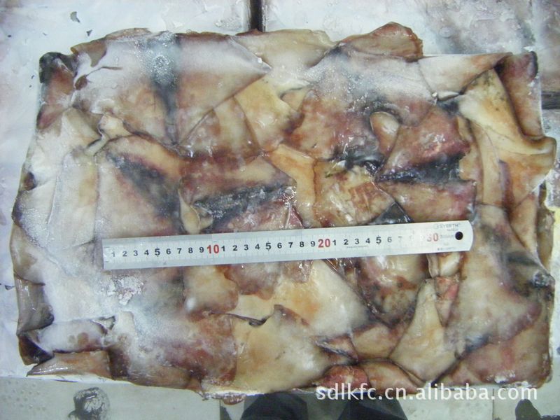 【鱿鱼耳/冷冻鱼耳/生鱿鱼耳/冻鲜鱿鱼耳】价格,厂家,图片,鲜活/冷冻水产,龙口市东方食品冷藏-