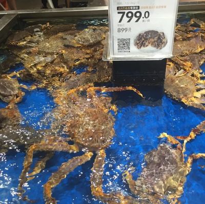不用抢!北京的&ldquo;菜篮子&rdquo;稳着呢!
